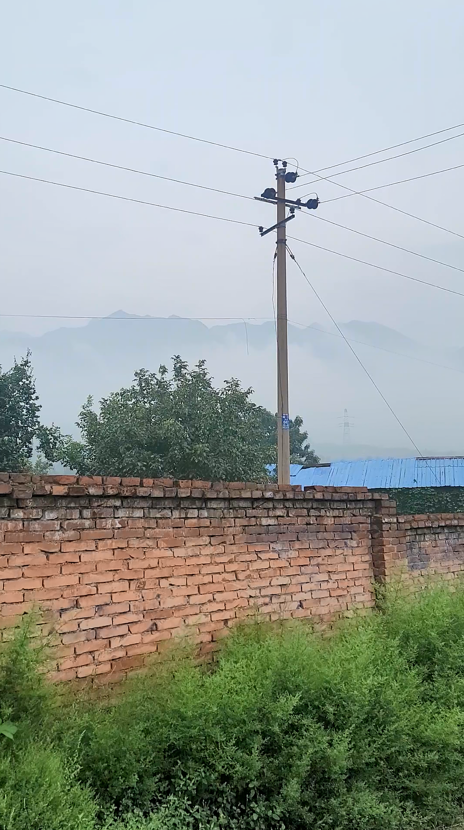 1662695697786938.jpg 1662695660389.jpg